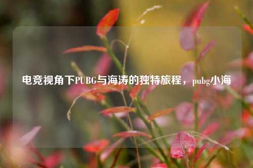 电竞视角下PUBG与海涛的独特旅程,pubg小海