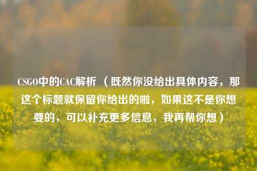 CSGO中的CAC解析 (既然你没给出具体内容,那这个标题就保留你给出的啦,如果这不是你想要的,可以补充更多信息,我再帮你想)