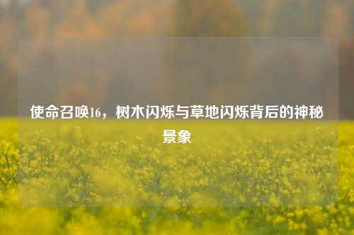 使命召唤16,树木闪烁与草地闪烁背后的神秘景象