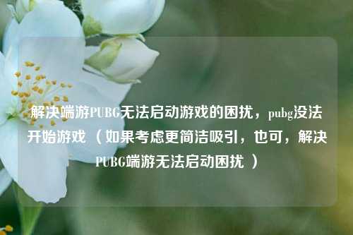 解决端游PUBG无法启动游戏的困扰,pubg没法开始游戏 (如果考虑更简洁吸引,也可,解决PUBG端游无法启动困扰 )