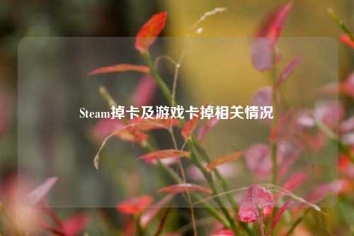 Steam掉卡及游戏卡掉相关情况