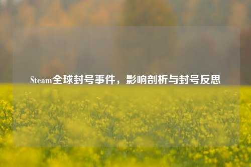 Steam全球封号事件,影响剖析与封号反思