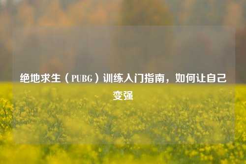 绝地求生(PUBG)训练入门指南,如何让自己变强