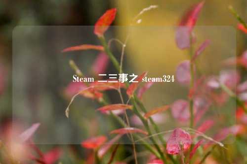 Steam 二三事之 steam324