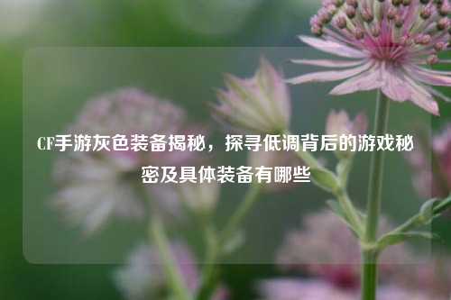 CF手游灰色装备揭秘,探寻低调背后的游戏秘密及具体装备有哪些
