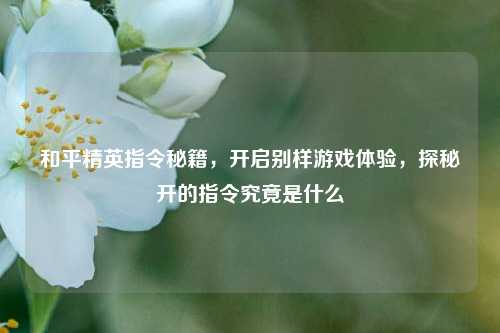 和平精英指令秘籍,开启别样游戏体验,探秘开的指令究竟是什么