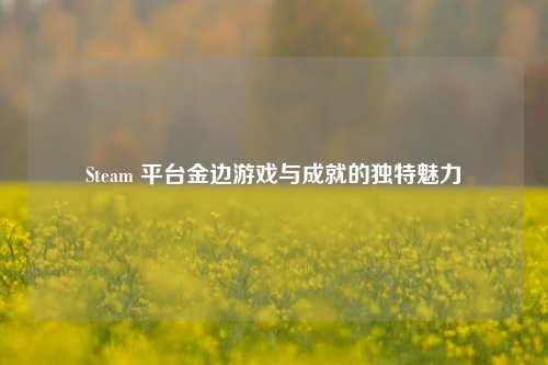 Steam 平台金边游戏与成就的独特魅力