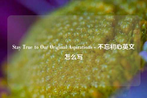 Stay True to Our Original Aspirations - 不忘初心英文怎么写