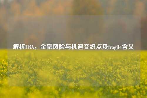 解析FRA,金融风险与机遇交织点及fragile含义