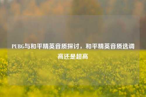 PUBG与和平精英音质探讨,和平精英音质选调高还是超高