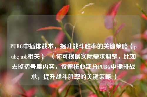 PUBG中插排战术,提升战斗胜率的关键策略(pubg u***相关) (你可根据实际需求调整,比如去掉括号里内容,仅留核心部分PUBG中插排战术,提升战斗胜率的关键策略 )