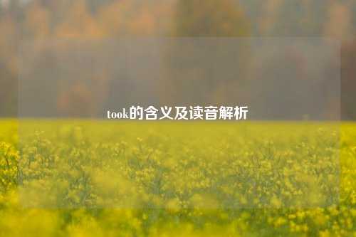 took的含义及读音解析