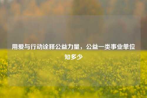 用爱与行动诠释公益力量,公益一类事业单位知多少
