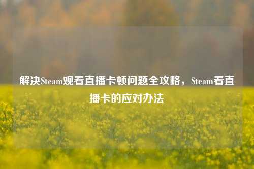 解决Steam观看直播卡顿问题全攻略,Steam看直播卡的应对办法