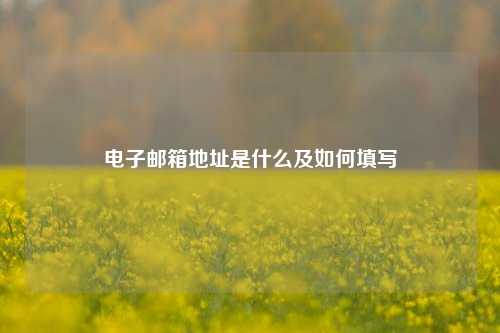 电子邮箱地址是什么及如何填写