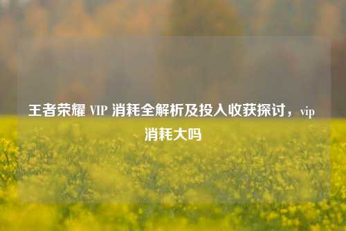 王者荣耀 VIP 消耗全解析及投入收获探讨,vip 消耗大吗