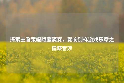 探索王者荣耀隐藏演奏,奏响别样游戏乐章之隐藏音效