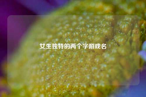 女生独特的两个字游戏名