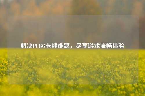 解决PUBG卡顿难题,尽享游戏流畅体验