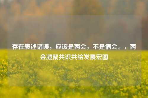 存在表述错误,应该是两会,不是俩会。,两会凝聚共识共绘发展宏图