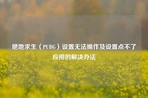 绝地求生(PUBG)设置无法操作及设置点不了应用的解决办法