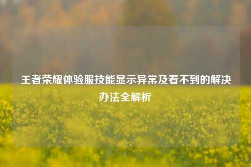 王者荣耀体验服技能显示异常及看不到的解决办法全解析