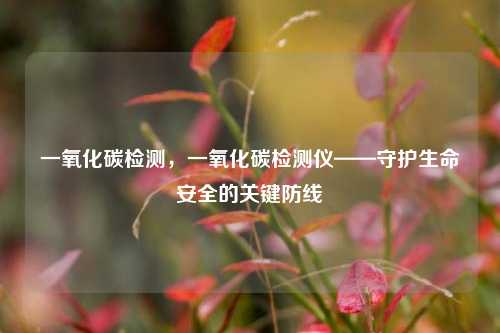 一氧化碳检测,一氧化碳检测仪——守护生命安全的关键防线