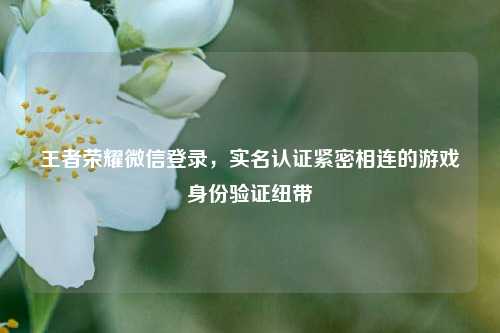 王者荣耀微信登录,实名认证紧密相连的游戏身份验证纽带