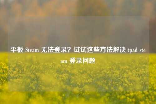 平板 Steam 无法登录？试试这些 *** 解决 ipad steam 登录问题