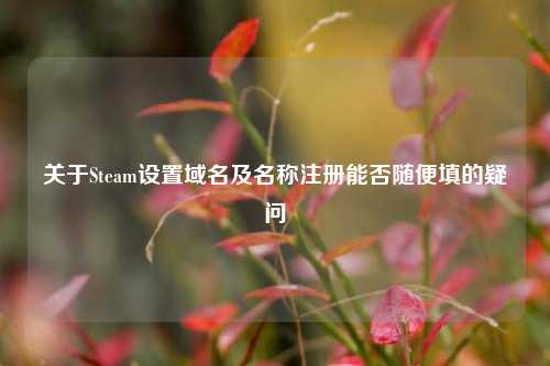 关于Steam设置域名及名称注册能否随便填的疑问