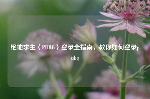 绝地求生（PUBG）登录全指南，教你如何登录pubg