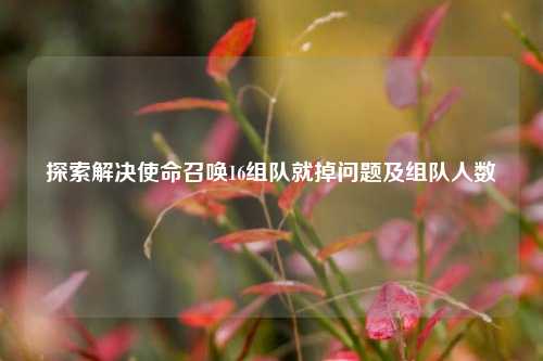 探索解决使命召唤16组队就掉问题及组队人数