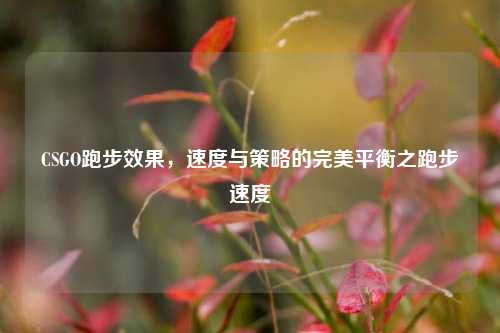 CSGO跑步效果,速度与策略的完美平衡之跑步速度