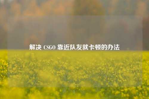 解决 CSGO 靠近队友就卡顿的办法