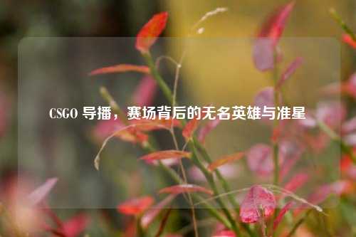 CSGO 导播,赛场背后的无名英雄与准星