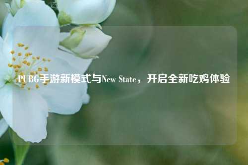 PUBG手游新模式与New State,开启全新吃鸡体验