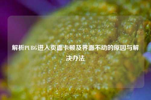 解析PUBG进入页面卡顿及界面不动的原因与解决办法