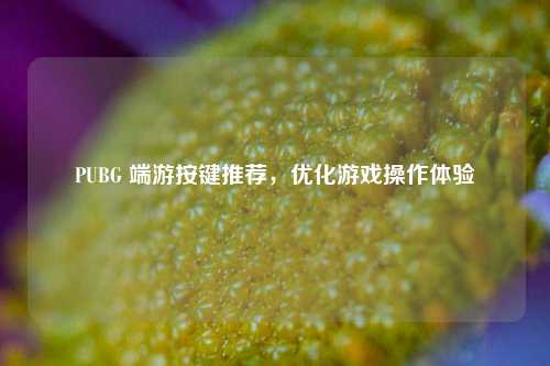 PUBG 端游按键推荐,优化游戏操作体验