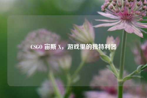 CSGO 宙斯 X,游戏里的独特利器