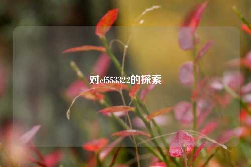 对cf553322的探索