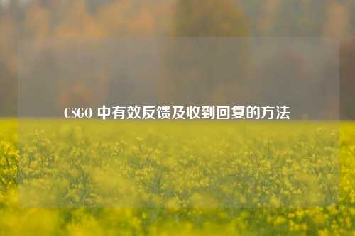 CSGO 中有效反馈及收到回复的 ***