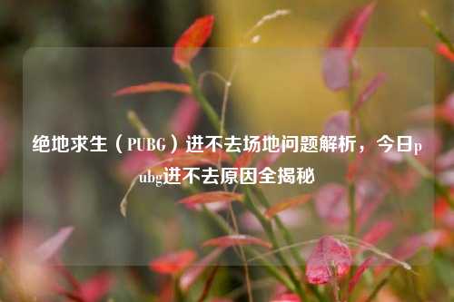 绝地求生(PUBG)进不去场地问题解析,今日pubg进不去原因全揭秘