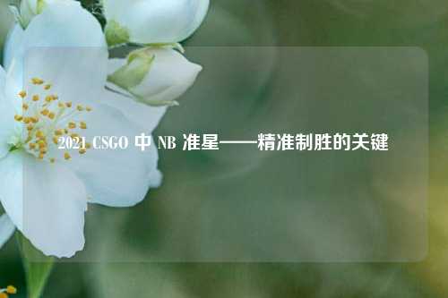 2021 CSGO 中 NB 准星——精准制胜的关键