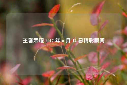 王者荣耀 2017 年 6 月 14 日精彩瞬间