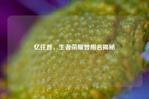 忆往昔,王者荣耀曾用名揭秘