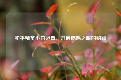 和平精英小白必看,开启吃鸡之旅的秘籍