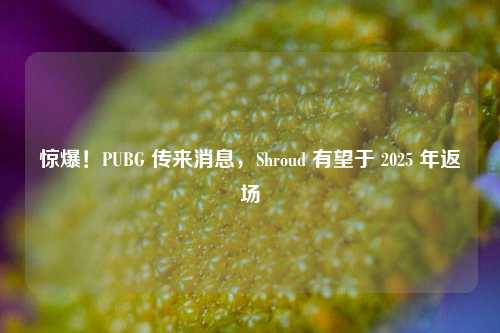 惊爆!PUBG 传来消息,Shroud 有望于 2025 年返场