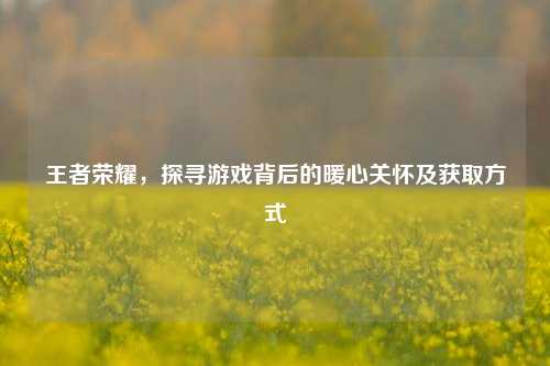 王者荣耀,探寻游戏背后的暖心关怀及获取方式