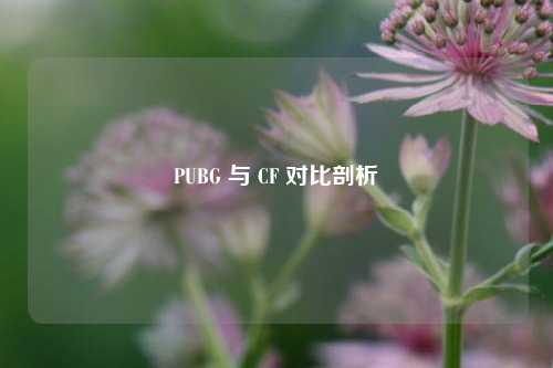 PUBG 与 CF 对比剖析