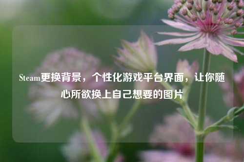 Steam更换背景,个性化游戏平台界面,让你随心所欲换上自己想要的图片